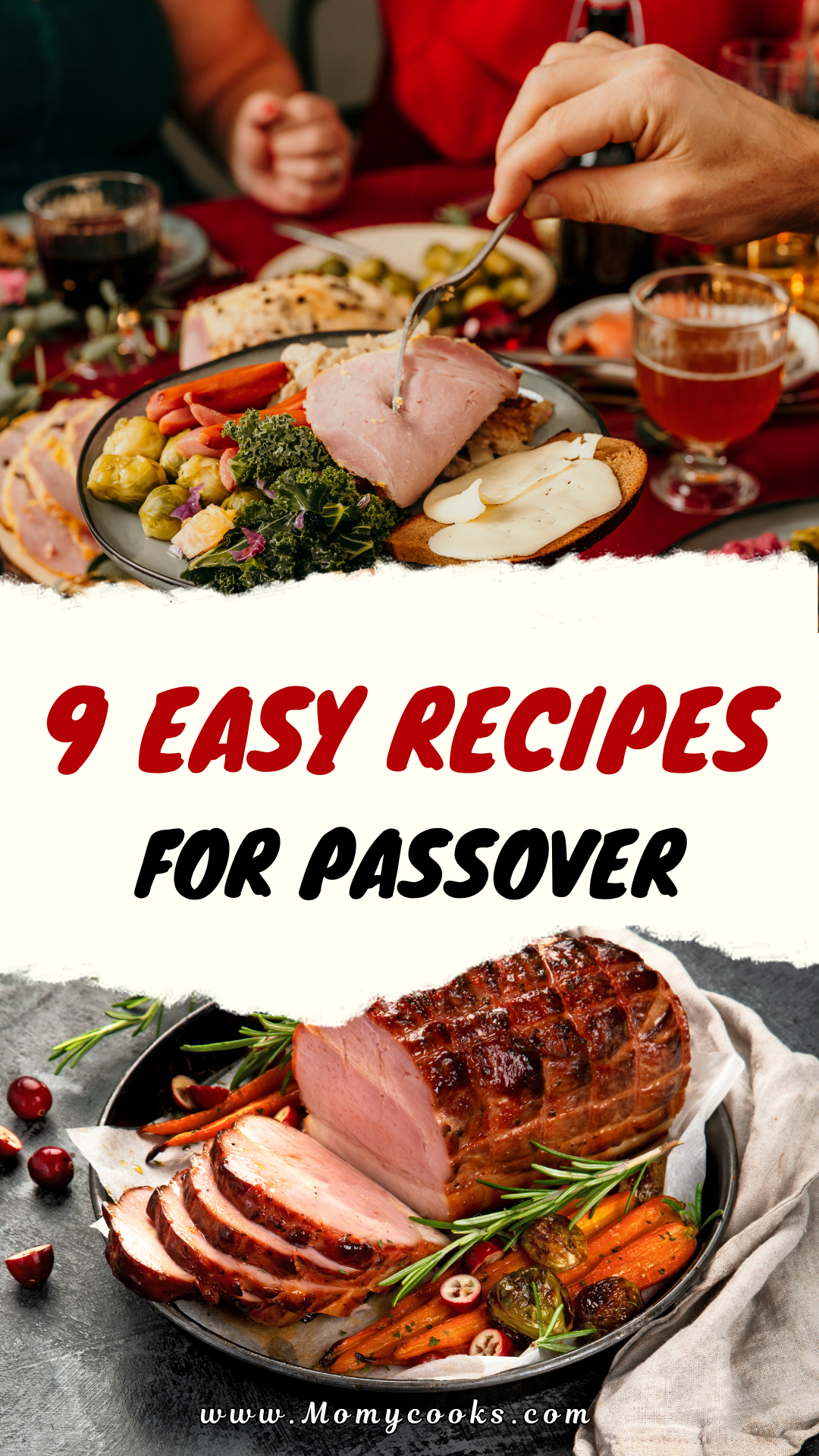9 Easy Recipes for Passover - Momy Cooks